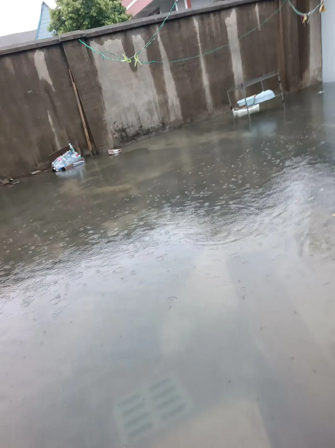 大丰这个校区内多病的母子俩，遇到突如其来的暴雨显得孤立无援……