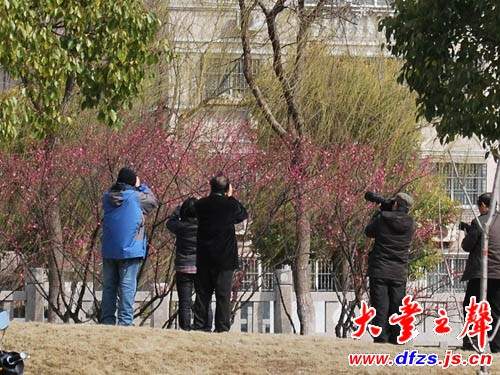 关于《世博记忆》摄影展览的征稿启事