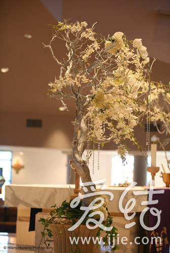 图片/Hilary Hopkins Photography