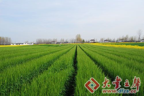 大丰农村人口_农村人口流失
