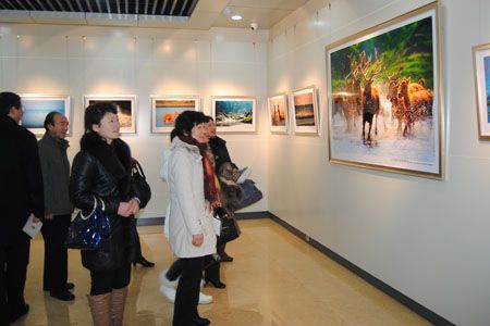 佳能摄影大逢车首次到县城 在大丰荷兰花海交流