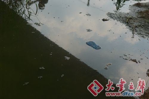 南阳镇多少人口_南阳夏馆镇(3)