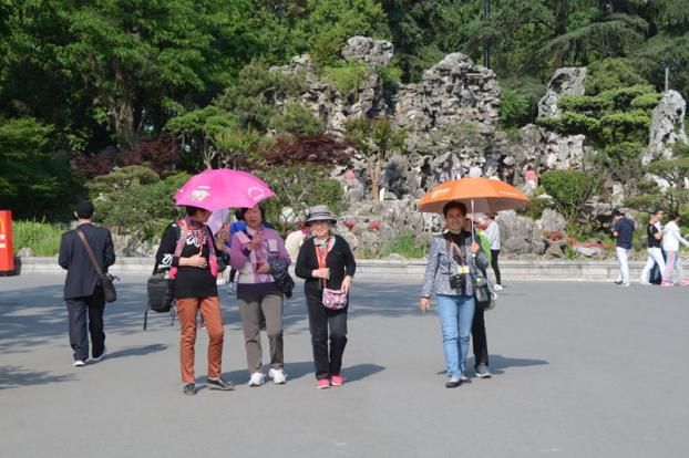盐城丹顶鹤保护区：长假过后不放飞