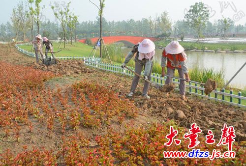 荷荷兰人口_荷兰风车(3)