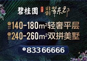深宅，大院，大人物