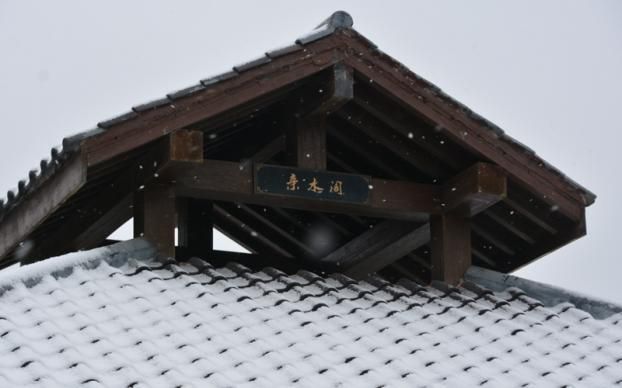大丰人游新疆