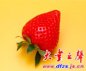 碟中留下一口食物